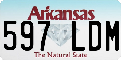 AR license plate 597LDM