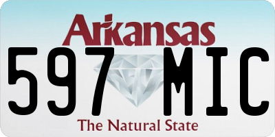 AR license plate 597MIC