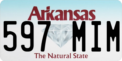 AR license plate 597MIM