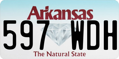 AR license plate 597WDH
