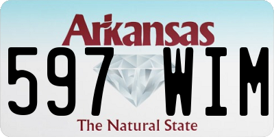 AR license plate 597WIM