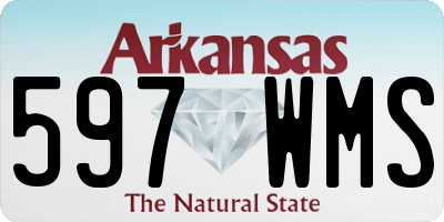 AR license plate 597WMS