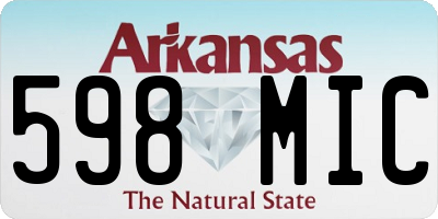 AR license plate 598MIC