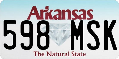 AR license plate 598MSK