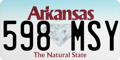 AR license plate 598MSY
