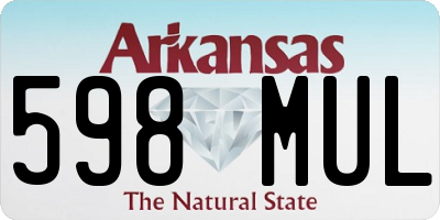 AR license plate 598MUL