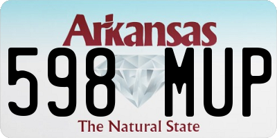 AR license plate 598MUP