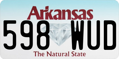 AR license plate 598WUD