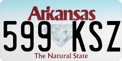 AR license plate 599KSZ