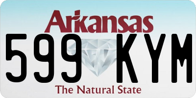 AR license plate 599KYM