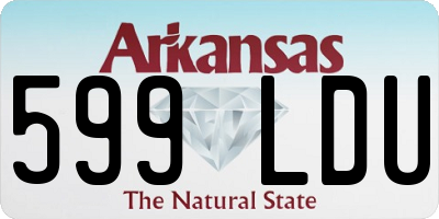 AR license plate 599LDU