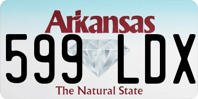 AR license plate 599LDX