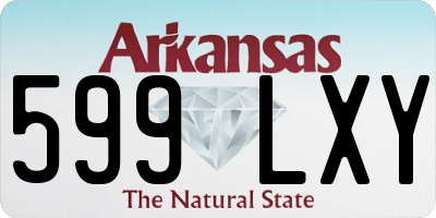 AR license plate 599LXY