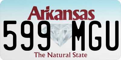 AR license plate 599MGU