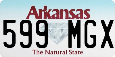 AR license plate 599MGX