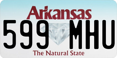 AR license plate 599MHU