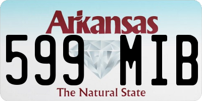 AR license plate 599MIB