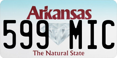 AR license plate 599MIC