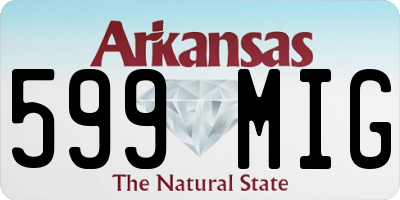 AR license plate 599MIG