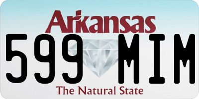 AR license plate 599MIM