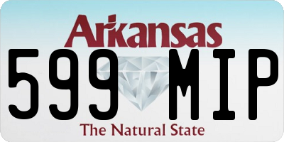AR license plate 599MIP