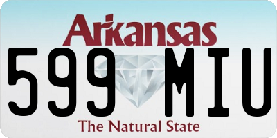 AR license plate 599MIU