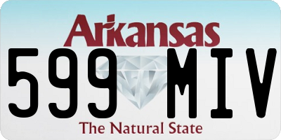 AR license plate 599MIV