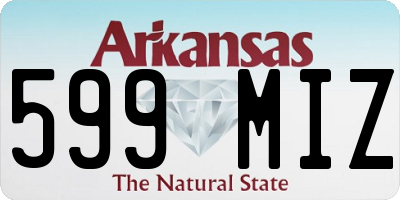AR license plate 599MIZ