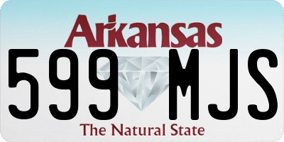 AR license plate 599MJS