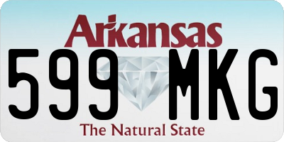 AR license plate 599MKG