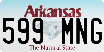 AR license plate 599MNG
