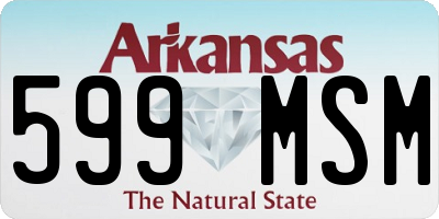 AR license plate 599MSM
