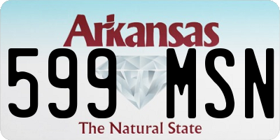 AR license plate 599MSN