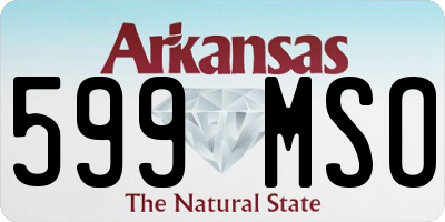 AR license plate 599MSO