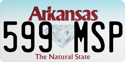 AR license plate 599MSP