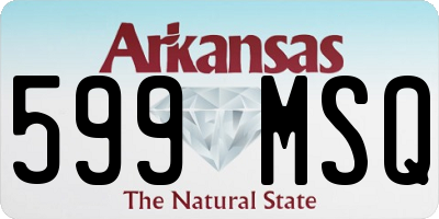 AR license plate 599MSQ
