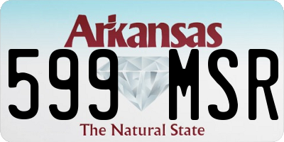 AR license plate 599MSR