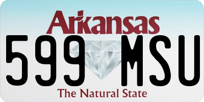 AR license plate 599MSU