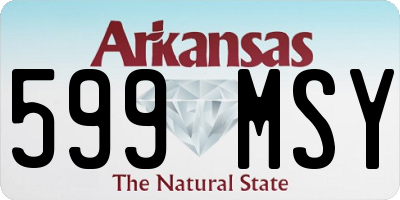 AR license plate 599MSY