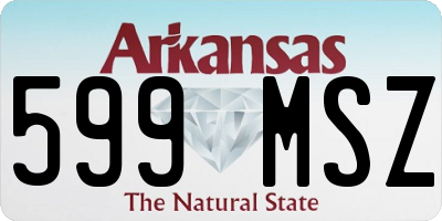 AR license plate 599MSZ