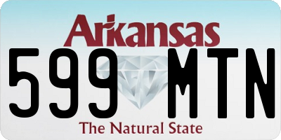 AR license plate 599MTN
