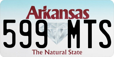 AR license plate 599MTS