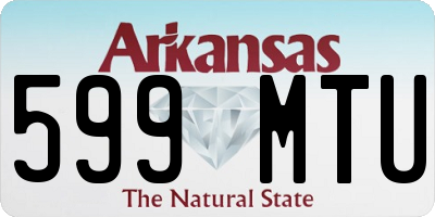 AR license plate 599MTU