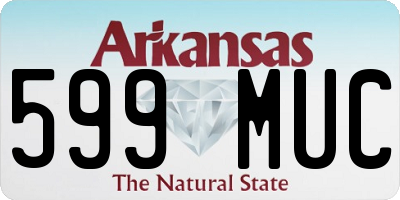 AR license plate 599MUC