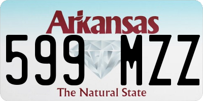 AR license plate 599MZZ