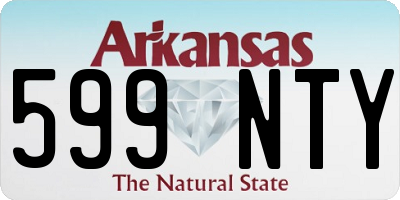 AR license plate 599NTY