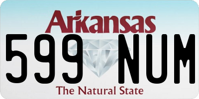 AR license plate 599NUM