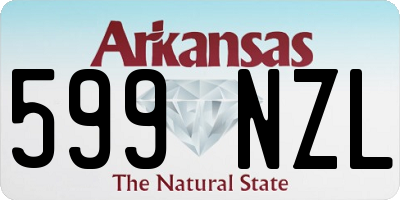 AR license plate 599NZL