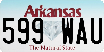 AR license plate 599WAU