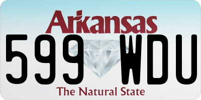 AR license plate 599WDU